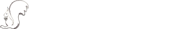 DG Properties Logo